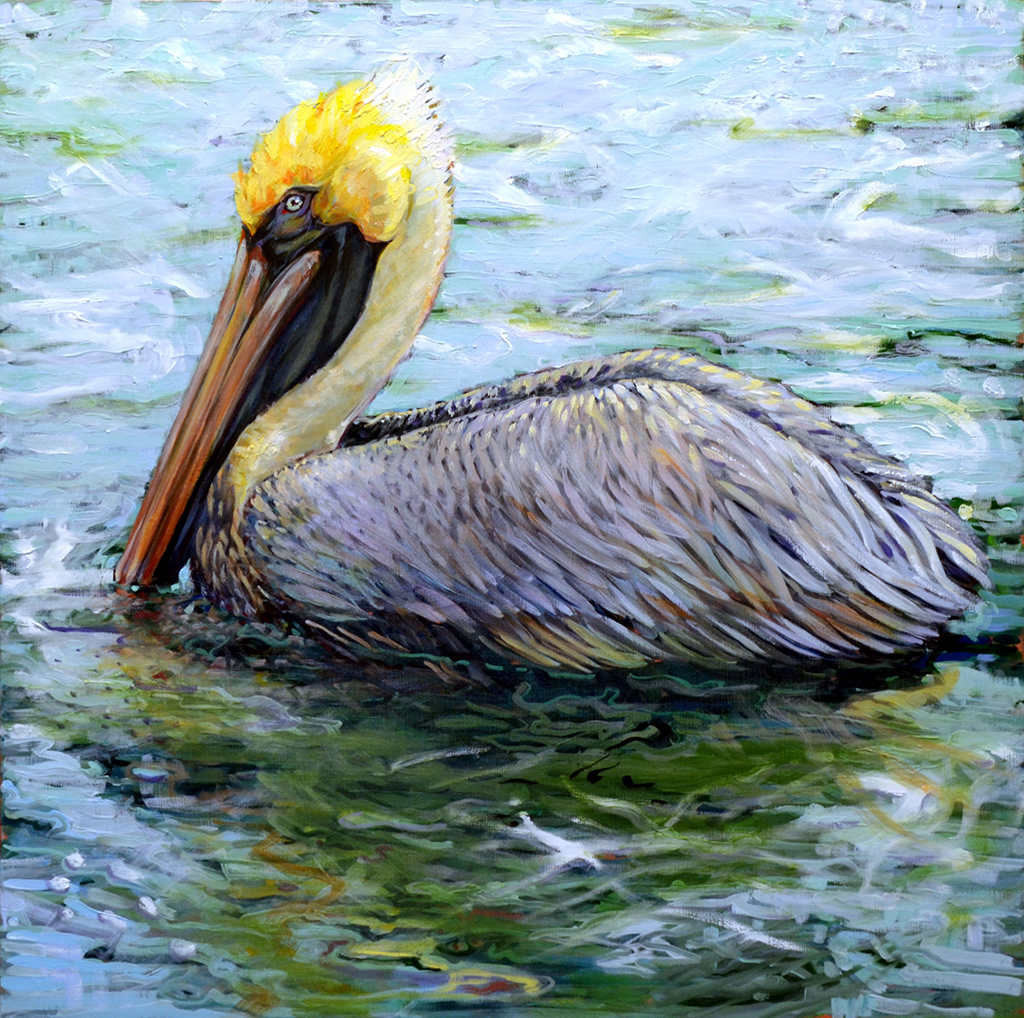 Pelicans, Swans of Zurich & Southern Birds | Leslie Shiels